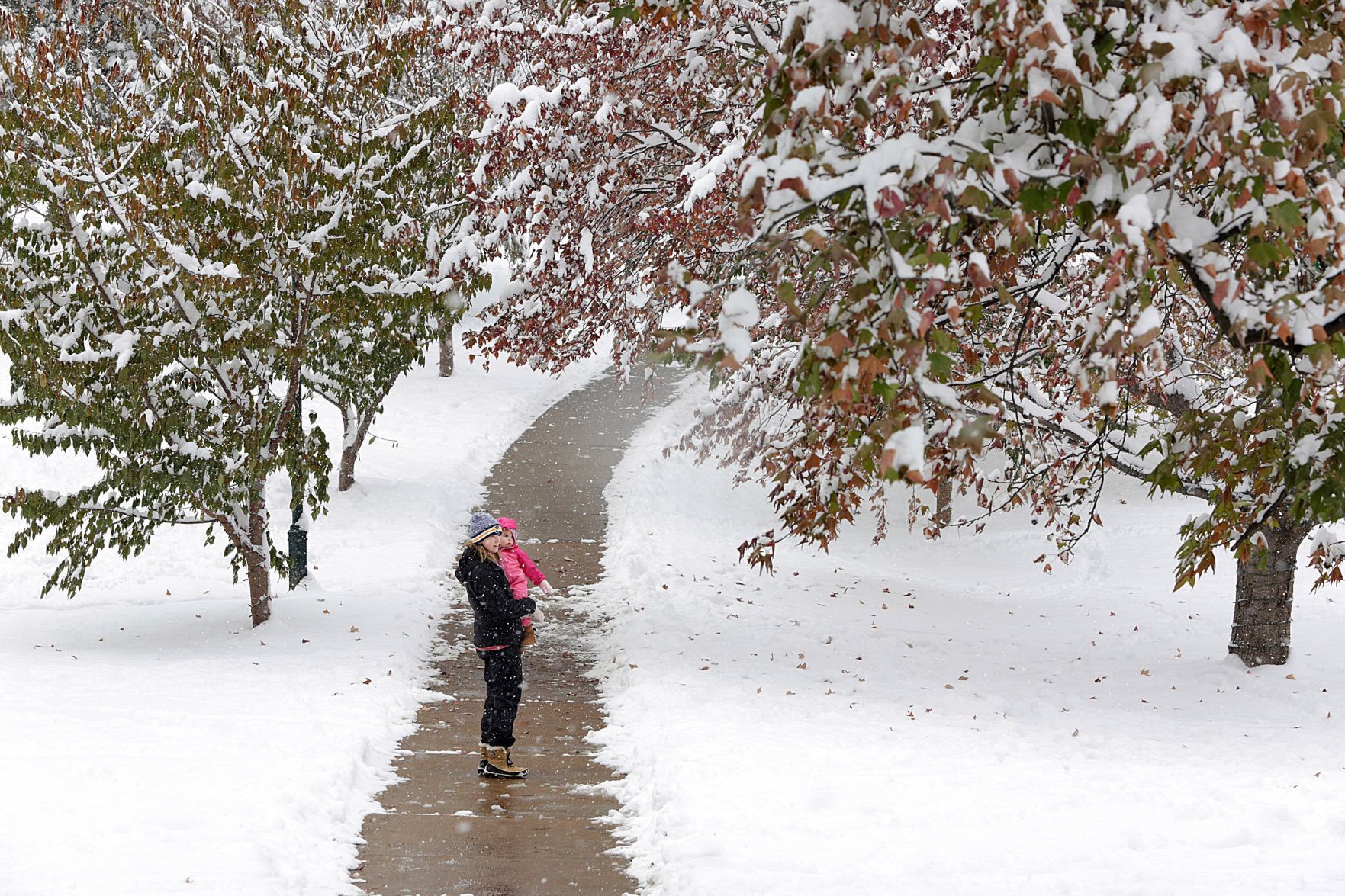 Snow Day
